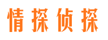 平顶山市侦探公司